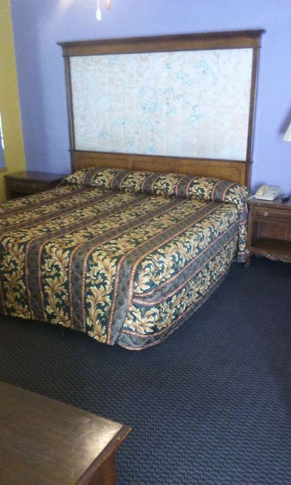 Hillside Motel Homer Εξωτερικό φωτογραφία